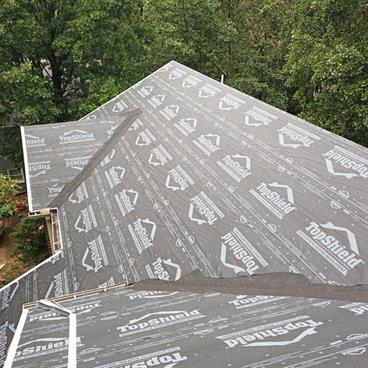 Old Roof - Before
